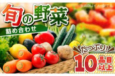 地元農家さんが収穫した旬のお野菜 10種詰め合わせ / 野菜 旬 新鮮 採れたて 季節野菜 旬野菜 農家直送 / 南島原市 / ミナサポ [SCW022]