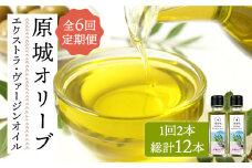 【6回 定期便 】原城オリーブ エクストラヴァージン オイル 100ml 2本 / 調味料 油 オリーブオイル オリーブ / 南島原市 / ミナサポ [SCW028]