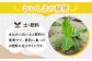 フルーツ 甘い プレゼント 贈り物 バナナ ばなな 果物 フルーツ 