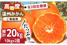 【2025年12月〜発送】【2回定期便】高糖度 温州みかん（約10kg×2回） / みかん 定期便 ミカン 蜜柑 長崎県産みかん 糖度 果物 くだもの 果物定期便 フルーツ ふるーつ フルーツ定期便 旬 家庭用 10kg / 南島原市 / 南島原果物屋 [SCV002]