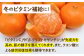 みかん