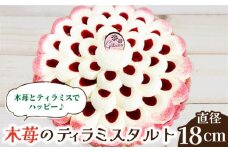 【舌にあふれる季節感♪こだわりのサクサクタルト】木苺のティラミスタルト / タルト たると ケーキ タルトケーキ スイーツ デザート / 南島原市 / アトリエジジ [SAA003]