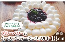 【舌にあふれる季節感♪こだわりのサクサクタルト】ブルーベリーとムースフロマージュのタルト / タルト たると ケーキ タルトケーキ スイーツ デザート / 南島原市 / アトリエジジ [SAA005]