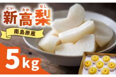 【2025年9月〜発送】【シャリッと食感がたまらない！】新高梨 5kg (玉数おまかせ) / 梨 なし ナシ フルーツ 果物 / 南島原市 / ふるさと企画 [SBA012]