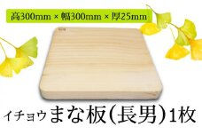 【においが残らずお手軽】イチョウ まな板（長男）  / 南島原市 / 森永材木店 [SBK002]