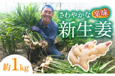 【2026年8月～発送】 新生姜 約1kg / ショウガ しょうが 生姜 / 南島原市 / ふくはちファーム/福島農園 [SBS015]