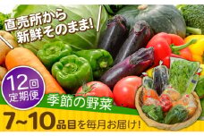 【12回定期便】直売所より発送！季節の野菜セット 7〜10品目 / 野菜定期便 やさい定期便 野菜 やさい 旬 詰め合わせ / 南島原市 / ながさき南部生産組合 [SBW005]