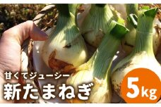 【2026年3月〜発送】【甘くてジューシー 】新たまねぎ 先行予約 サラダ たまねぎ 5kg  / 玉ねぎ たまねぎ タマネギ 新たまねぎ 新玉ねぎ /  南島原市 / 長崎県農産品流通合同会社 [SCB025]