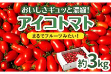 【完熟ミニトマト】アイコトマト 約3kg / とまと トマト アイコ 3kg ミニトマト プチトマト 野菜 / 南島原市 / 長崎県農産品流通合同会社 [SCB052]
