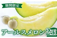 【2025年11月中旬～発送】【数量限定】 アールスメロン 2玉 / 3kg以上 高級 果物 フルーツ メロン マスクメロン めろん / 南島原市 / 長崎県農産品流通合同会社 [SCB074] 