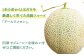 アールスメロン メロン メロン メロン メロン メロン メロン メロン メロン メロン 