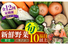 【12回定期便】野菜定期便 キノコをセット「12回（毎月）」お届け 10品目以上 詰め合わせ 12回  / 定期便 野菜 やさい 春野菜 夏野菜 秋野菜 冬野菜 旬 / 南島原市 / 吉岡青果 [SCZ007]