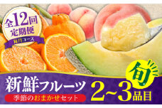 【12回定期便】フルーツ定期便 旬の果物をお任せで2～3品目お届け（2～3品目×12回）季節の果物 詰め合わせ 果物 セット / 定期便 フルーツ 果物 春フルーツ 夏フルーツ 秋フルーツ 冬フルーツ /  南島原市 / 吉岡青果 [SCZ014]