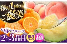 【12回定期便】フルーツ定期便 旬の果物をお任せで2～3品目お届け（2～3品目×12回）季節の果物 詰め合わせ 果物 セット / 定期便 フルーツ 果物 春フルーツ 夏フルーツ 秋フルーツ 冬フルーツ /  南島原市 / 吉岡青果 [SCZ014]