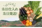 野菜 定期便