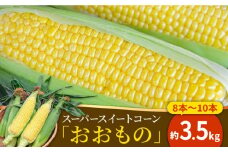 【2024年5月下旬〜発送】【ビッグサイズ】スーパースイートコーン「おおもの」約3.5kg   / トウモロコシ スイートコーン とうもろこし 大きい 南島原市 / 吉岡青果 [SCZ021]