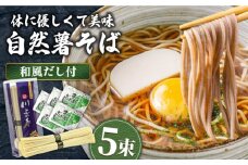 【2025年1月中旬より順次発送】手延べ自然薯 そば 250g（2～3人前）和風だし付 / 蕎麦 そば ソバ 乾麺 麺 自然薯 2000円 2000 / 南島原市 / 川上製麺 [SCM018]