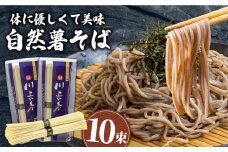 手延べ 自然薯 そば 500g（250g×2）/ 蕎麦 ソバ そば 乾麺 蕎麦 麺 自然薯 3000円 3000 / 南島原市 / 川上製麺 [SCM021]