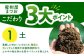 みかん ミカン 蜜柑 フルーツ 果物 みかん くだもの 柑橘 旬 果実 甘味 酸味 産地直送 みかん 農家直送 数量限定 国産