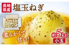 【2026年3月中旬～発送】【柔らかくて甘い！】塩玉ねぎ 約5kg（小玉）/ 新たまねぎ 新玉ねぎ 新タマネギ 玉ネギ 玉ねぎ たまねぎ タマネギ / 南島原市 / 長崎県農産品流通合同会社 [SCB054]