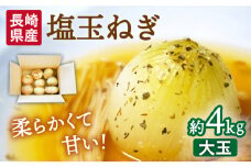 【2026年3月中旬～発送】【柔らかくて甘い！】塩玉ねぎ 約4kg（大玉）/ 新たまねぎ 新玉ねぎ 新タマネギ 玉ネギ 玉ねぎ たまねぎ タマネギ / 南島原市 / 長崎県農産品流通合同会社 [SCB055]