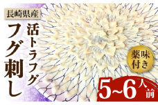 【長崎県産】活トラフグ フグ刺し（5～6人前）  / ふぐ フグ とらふぐ トラフグ 刺身 河豚 ふぐ刺し / 南島原市 / ながいけ [SCH031]