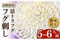 【長崎県産】活トラフグ フグ刺し（5～6人前）  / ふぐ フグ とらふぐ トラフグ 刺身 河豚 ふぐ刺し / 南島原市 / ながいけ [SCH031]
