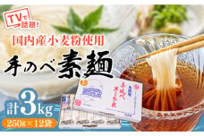 【手のべ陣川】 島原 手延べ そうめん 3kg / SC-35/ 袋入 そうめん 島原そうめん 手延べ 麺 素麺 / 南島原市 / ながいけ [SCH017]