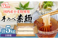 【手のべ陣川】熟成麺 島原 手延べ そうめん 5kg / L-100 / 化粧箱 そうめん 島原そうめん 手延べ 麺 素麺 / 南島原市 / ながいけ [SCH026]