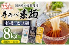 【手のべ陣川：ふるさと納税 限定商品】 島原 有機 手延べ そうめん 手延べ ごま麺 詰合せ 8kg / TA-200 / 南島原市 / ながいけ [SCH030]