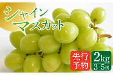 【2025年8月〜発送】【南島原産】シャインマスカット 2kg（3～5房）/ ぶどう 葡萄 ブドウ しゃいんますかっと 果物 くだもの フルーツ / 南島原市 / ながいけ [SCH036]