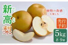 【2025年9月〜発送】【南島原産】新高 梨（8個から9個） / 南島原市 / ながいけ [SCH039]