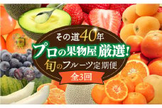 【3回定期便】フルーツ定期便 果物屋が選ぶ旬のフルーツ いちご メロン びわ みかん 梨 柿 など / 果物定期便 フルーツ 定期便 果物 春フルーツ 夏フルーツ 秋フルーツ 冬フルーツ / 南島原市 / 贅沢宝庫 [SDZ024]