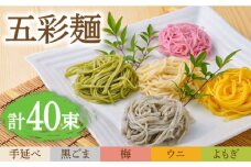 五彩麺 セット 40束 / そうめん 素麺 黒ごま 梅 うに よもぎ / 麺 乾麺 食べ比べ 詰め合わせ カラフル / 南島原市 / のうち製麺 [SAF019]