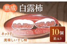 熟成白露柿 10個箱入り / 柿 かき 干し柿 ほしがき ホシガキ かき カキ カキ ほしがき / 南島原市 / 中邨 [SAG006]