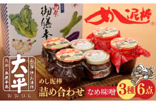 ＜スピード配送＞【ヒルナンデス 時短グルメ1位！】めし泥棒 詰め合わせ / 漬物 つけもの ツケモノ つけもの ツケモノ ツケモノナス お漬物 漬け物 キュウリ こうじ きゅうり 大根 生姜 もろみ ご飯のお供 贈答 ギフト / 南島原市 / 大平食品 [SAK001]