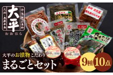 ＜スピード配送＞大平のお漬物こだわり まるごとセット / 漬物 つけもの ツケモノ つけもの ツケモノ ツケモノナス お漬物 漬け物 キュウリ こうじ きゅうり 大根 生姜 もろみ ご飯のお供 贈答 ギフト / 南島原市 / 大平食品 [SAK002]