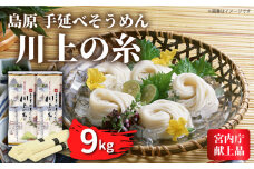 【5月〜発送】宮内庁献上 手延べ そうめん 250g×36袋（9kg） 南島原市 / 川上製麺 [SCM083]