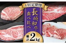 【豪華4回定期便】長崎和牛 食べ比べ / ヒレ サーロイン ロース シャトーブリアン / 南島原市 / ながいけ [SCH045]