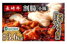 【6回定期便】長崎牛 割腸（小腸） 焼肉・ホルモン鍋 用 600g  / 鍋 なべ やきにく ホルモン 牛肉 もつ鍋 / 南島原市 / はなぶさ [SCN116]