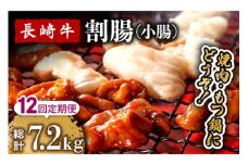 【12回定期便】長崎牛 割腸（小腸） 焼肉・ホルモン鍋 用 600g  / 鍋 なべ やきにく ホルモン 牛肉 もつ鍋 / 南島原市 / はなぶさ [SCN117]