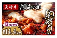 【12回定期便】長崎牛 割腸（小腸） 焼肉・ホルモン 鍋 用 1.2kg  / 鍋 なべ やきにく ホルモン 牛肉 もつ鍋 / 南島原市 / はなぶさ [SCN120]