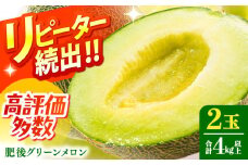 【2025年6月中旬〜発送】肥後 グリーンメロン 大玉 2玉 (合計4kg以上) / メロン めろん フルーツ 果物 / 南島原市 / 長崎県農産品流通合同会社 [SCB063]