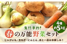 【2025年5月下旬〜発送】【先行予約！】春の万能野菜セット 約5kg / じゃがいも ジャガイモ たまねぎ 玉ねぎ タマネギ にんじん 人参  旬野菜 詰め合わせ / 南島原市 / 長崎県農産品流通合同会社 [SCB064]