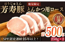 芳寿豚 とんかつ用ロース 500g 南島原市 / 芳寿牧場 [SEI029]