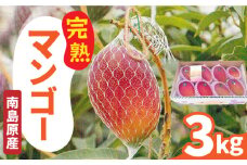 【2025年7月〜発送】南島原産 完熟マンゴー 3kg / マンゴー まんごー フルーツ 果物 完熟 期間限定 / 南島原市 / 松川農園 [SAX003]
