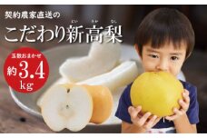 【2025年9月〜発送】【シャリッとおいしい！】新高梨 約3.4kg / 梨 なし  南島原市 / ふるさと企画 [SBA030]