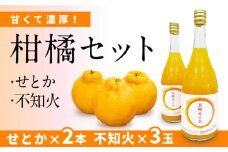 せとか果汁100%ジュース 720ml×2本＋不知火の詰め合わせ / じゅーす オレンジ みかん 果物 フルーツ / 南島原市 / 松川農園 [SAX005]