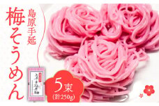 島原 手延 梅素麺 250g  / そうめん 素麺 南島原市 / 島原手延素麺組合連絡協議会 [SAN006]