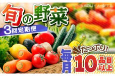 【3回定期便】地元農家さんが収穫した旬のお野菜  10種詰め合わせ / 野菜 旬 新鮮 採れたて 季節野菜 旬野菜 農家直送 野菜定期便 定期便 / 南島原市 / ミナサポ [SCW045]